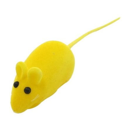 Pet Squeaky Toy