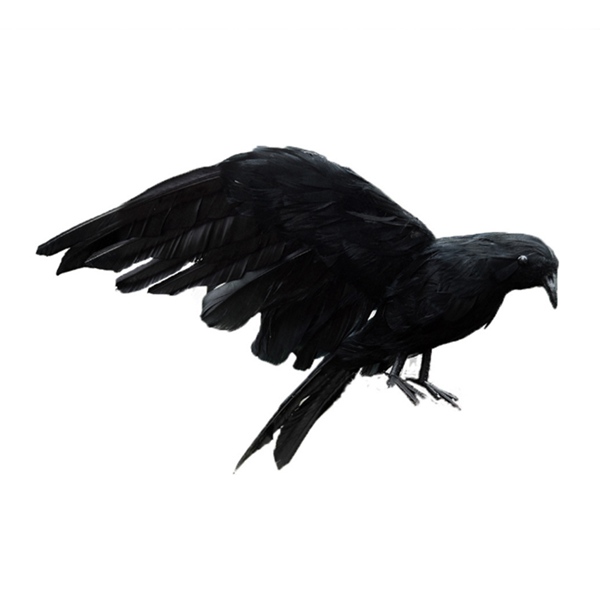Halloween prop feathers Crow bird large 25x40cm spreading wi