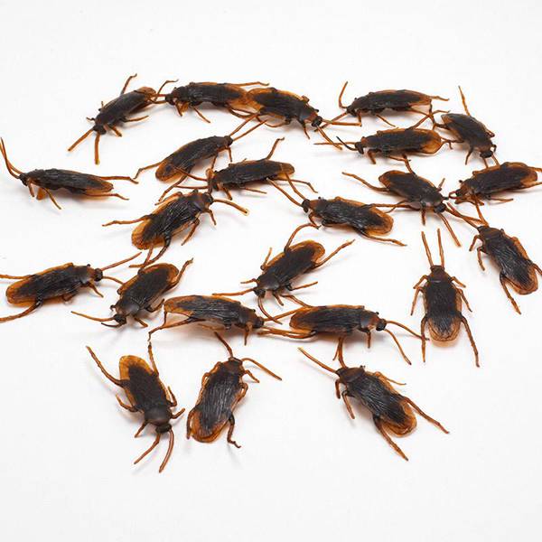 12 Pcs Halloween Simulated Plastic Cockroaches Deceptive Pro